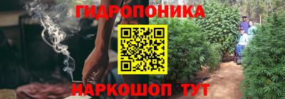 МДПВ Будённовск